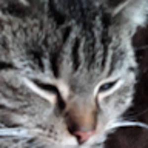 Meet your Posher, Donna